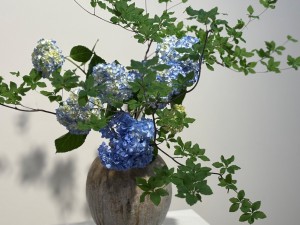 株式会社Wall インフォメーション