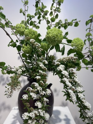 株式会社Wall インフォメーション