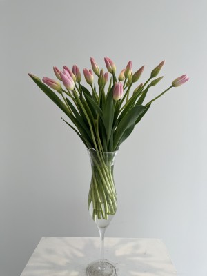 株式会社Wall インフォメーション